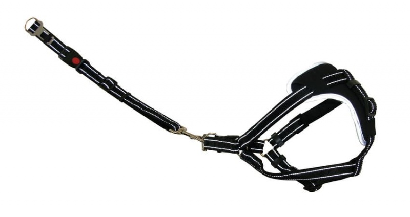Sicherheitsgeschirr DogSafe, Gr. XL, sw