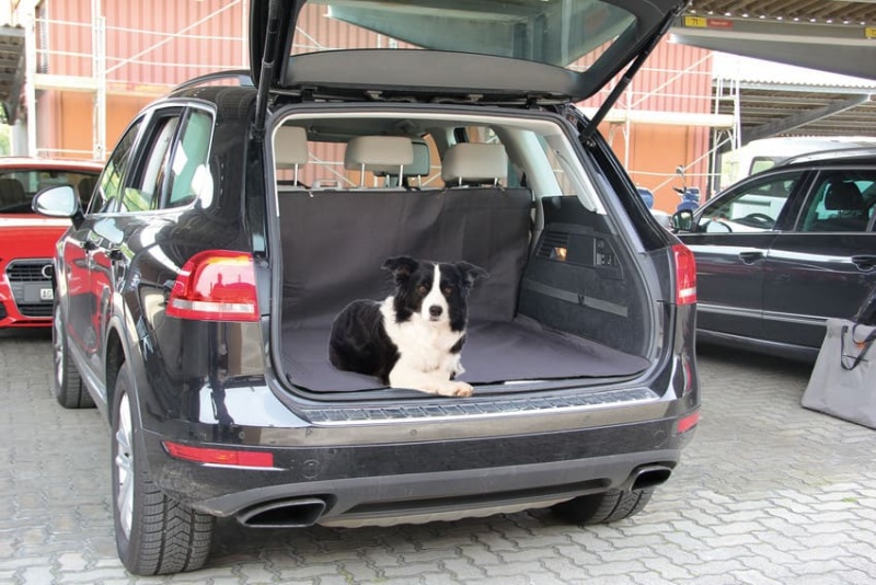 swisspet Kofferaumschondecke Billy 150cm