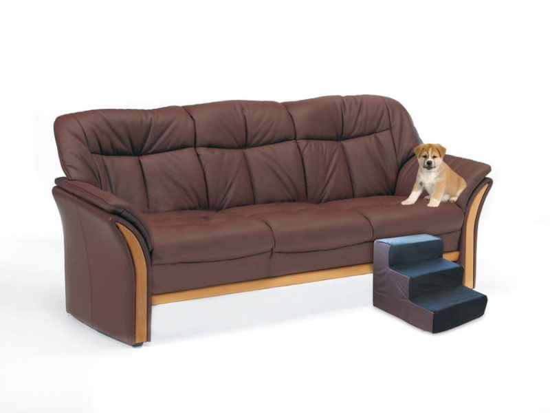 SP Hundetreppe Tibbo schwarz