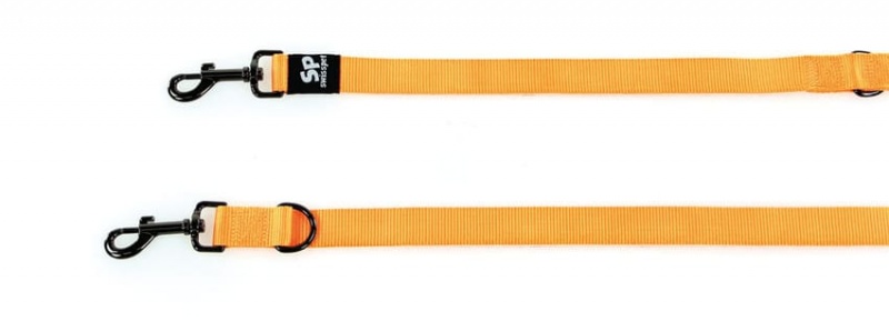 TrendLine ONE Führleine25mm/180cm orange