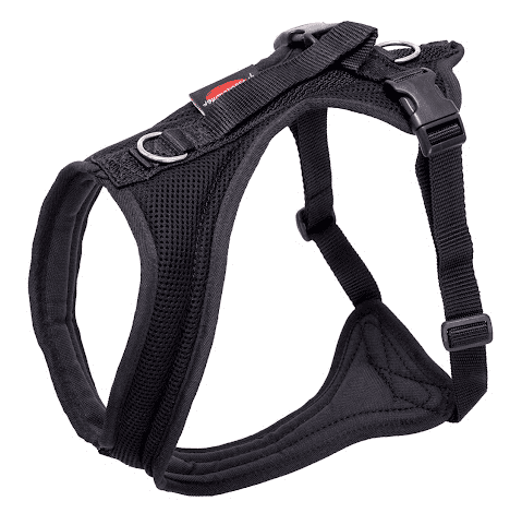 Grossenbacher FunRun schwarz M