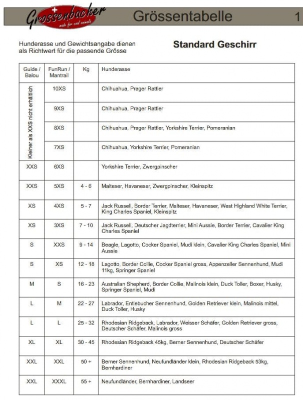 Grossenbacher FunRun blau M