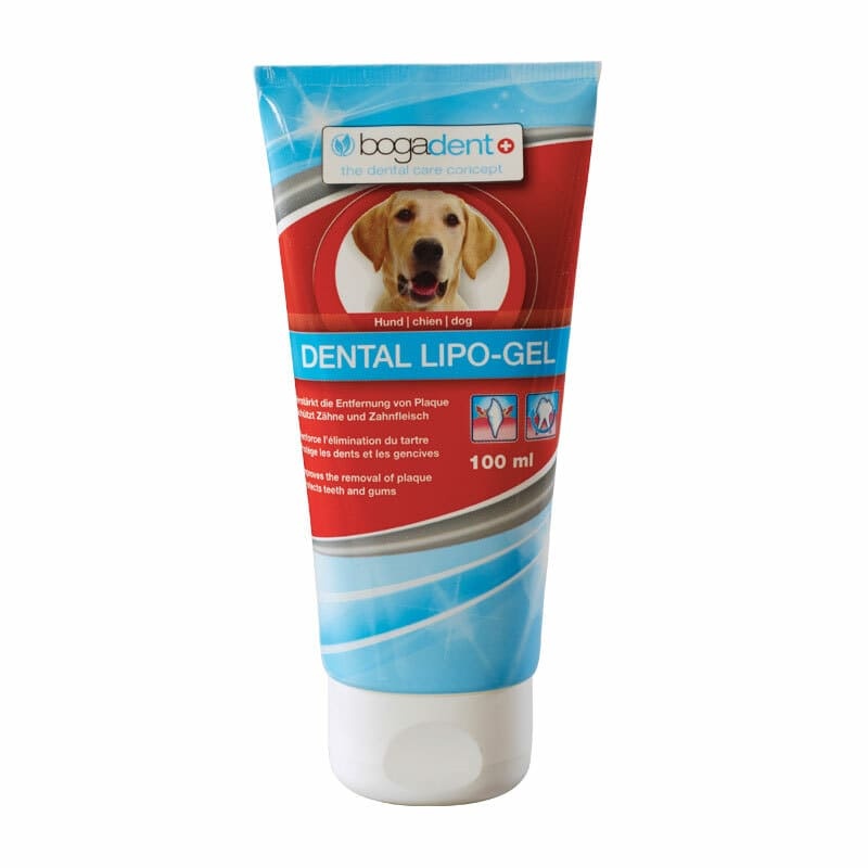 BogaDent Dental Lipo-Gel Hund