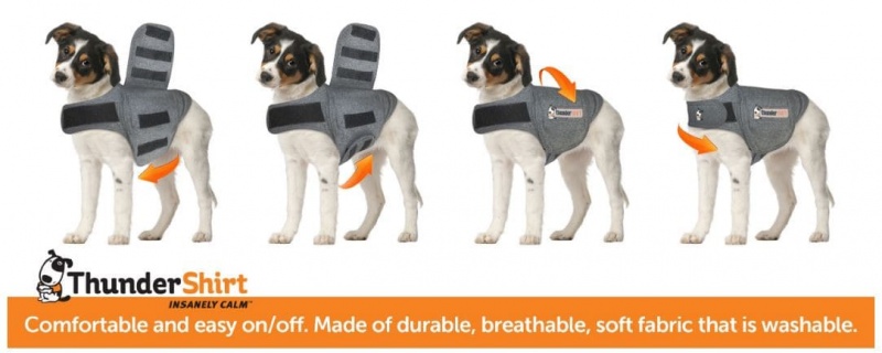 Thundershirt grau Hund Gr. S