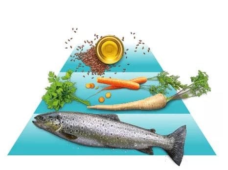 GOOOD Adult Nachhaltige Forelle