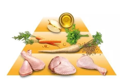 GOOOD Adult Freilandhuhn