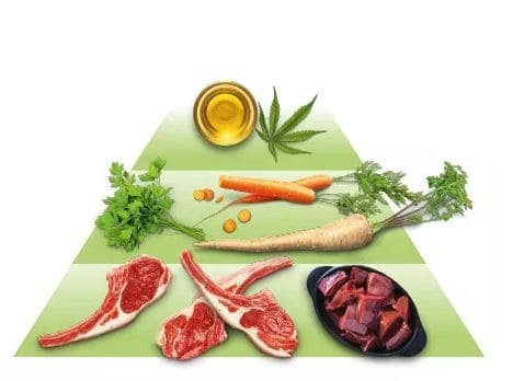 GOOOD Adult Freilandlamm