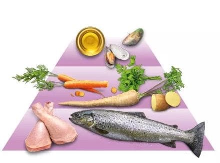 GOOOD Senior Freilandhuhn & Nachhaltige Forelle