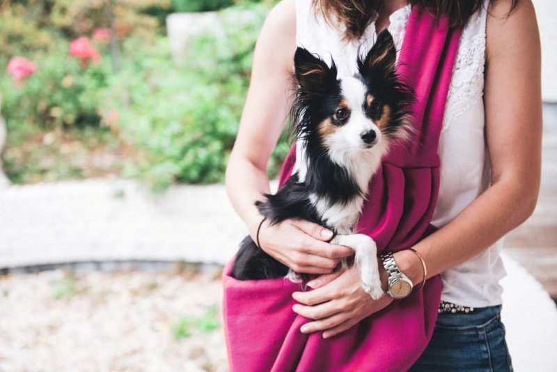 Tragebeutel Los Angeles