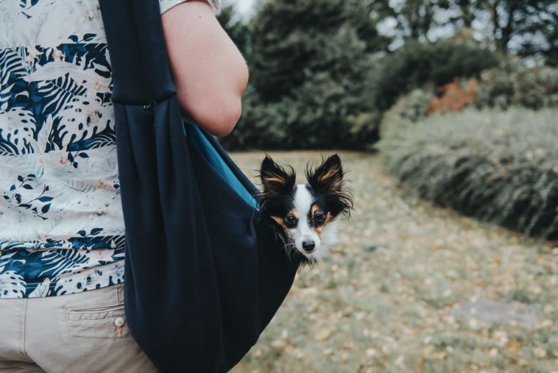 Tragebeutel Los Angeles