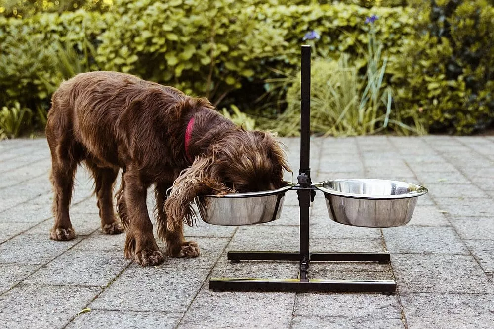 Napfständer verstellbar DINER BAR inkl. 2 Näpfen 2