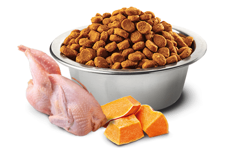 Farmina ND Pumpkin Adult Wachtel 5kg