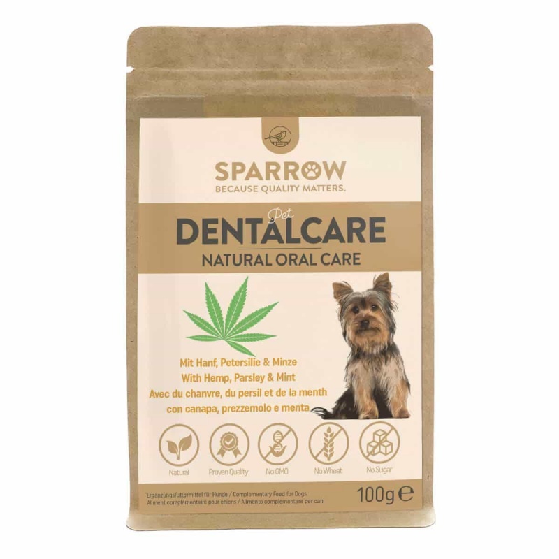 DantalCare