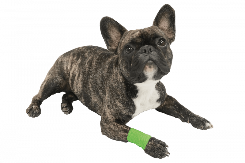 Vetlando Anti-Lick-Bandage Small 2-er