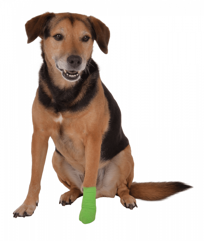 Vetlando Anti-Lick-Bandage Medium