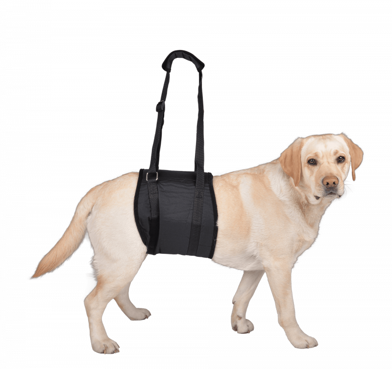 Vetlando Tragehilfe L schwarz