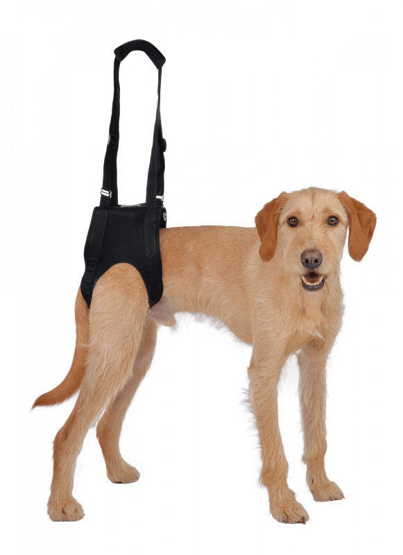 Vetlando Gehhilfe L schwarz