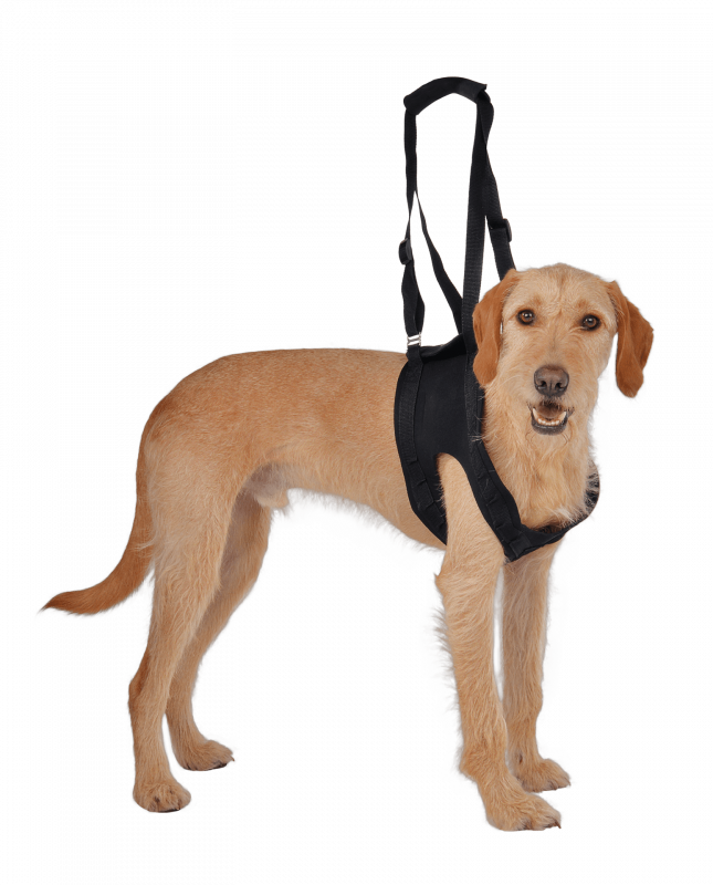 Vetlando Gehhilfe L schwarz