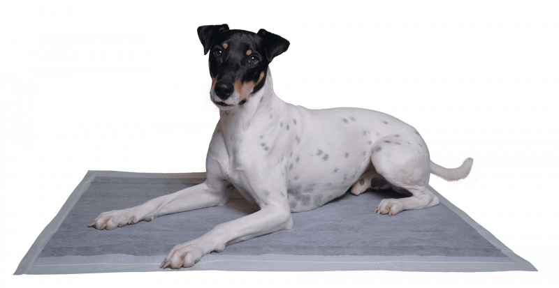 Vetlando Inkontinenzunterlage XL