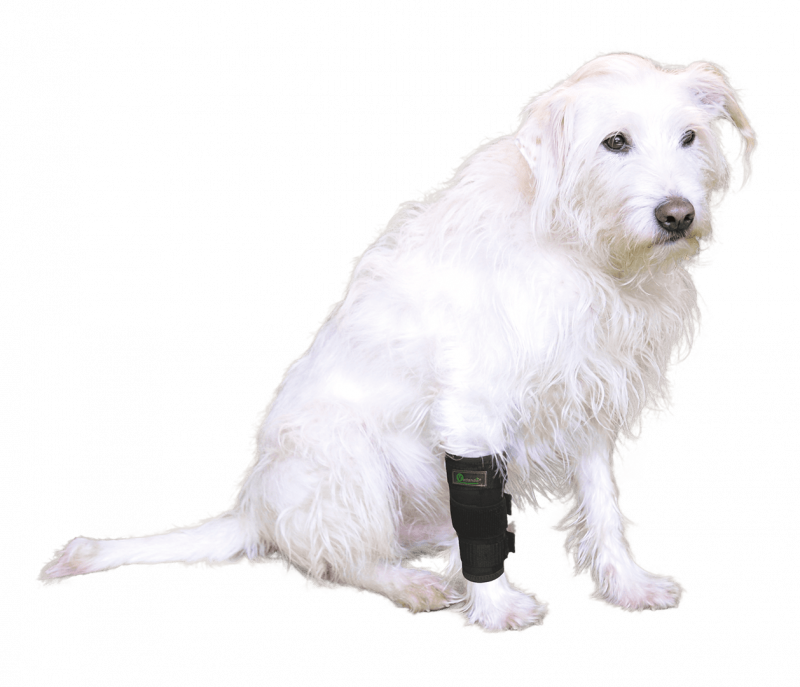 Vetlando Stützbandage L