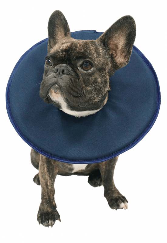 Vetlando Leckschutzkragen XL blau