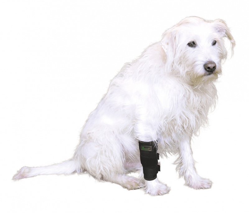 Vetlando Vorderbeinschutz S