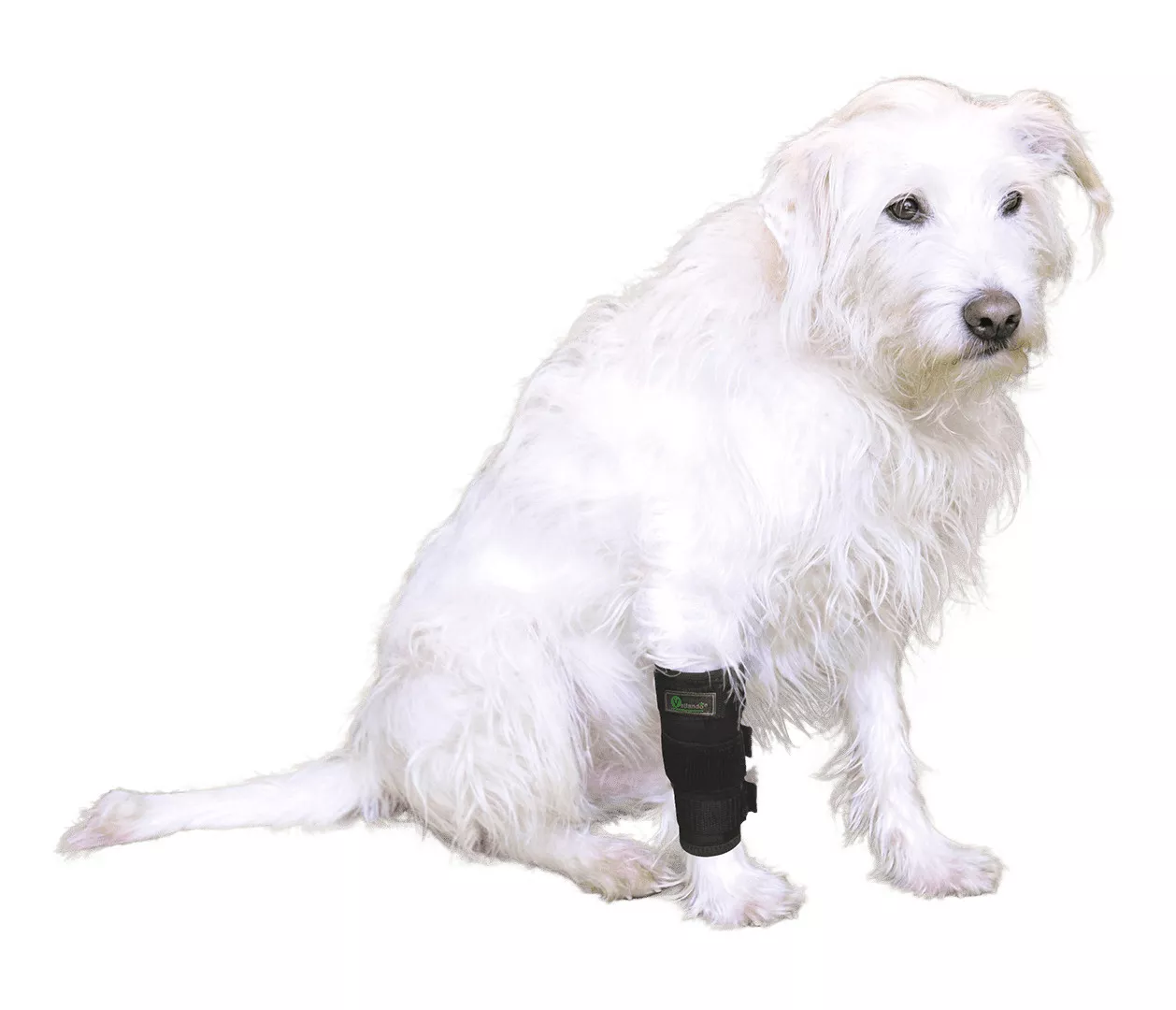 Vetlando Vorderbeinschutz XXL