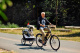 InnoPet Sporty Dog Trailer DeLuxe Black/Silver