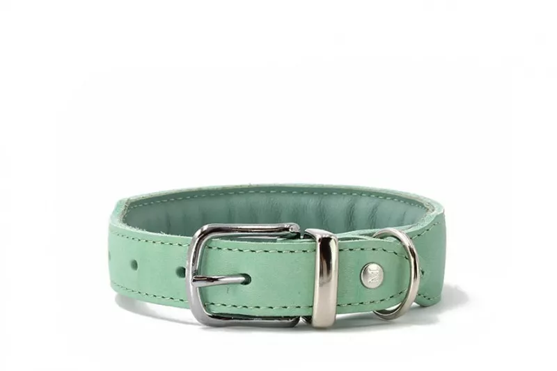 Maul Halsband Mono Pop mint 55cm / 35mm