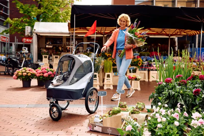 InnoPet Sporty Dog Trailer DeLuxe Black/Silver